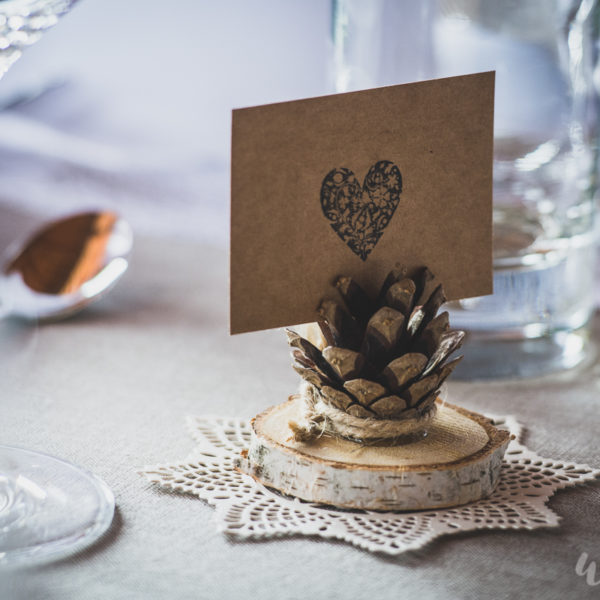 Szysznietka czyli szyszkowa winietka :)