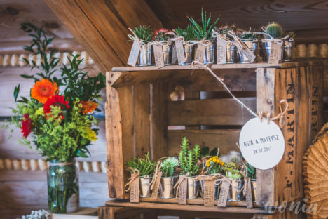 Prezenciki dla gości - sukulenty