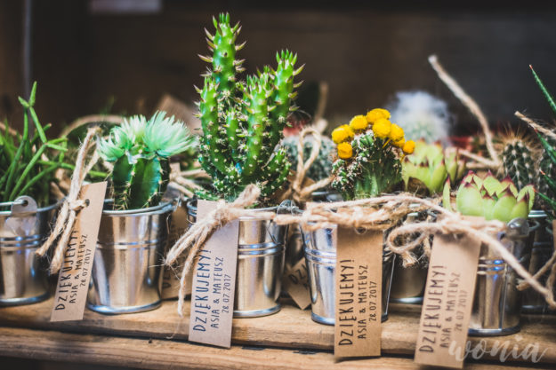Prezenciki dla gości - sukulenty