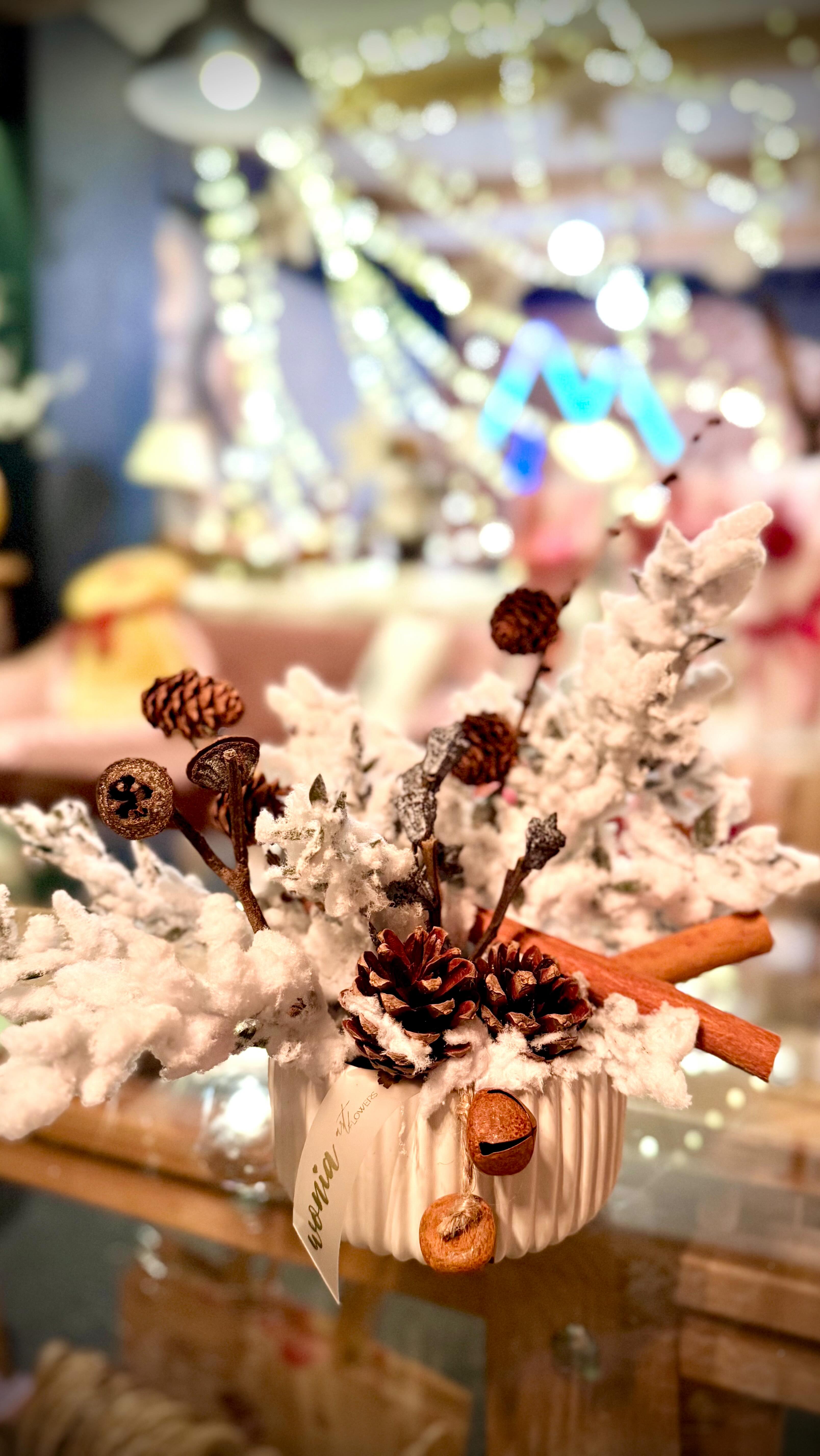 Zróbcie z nami zimową kompozycje! ❄️
Gotowe i dostępne u nas od ręki 🤍
Obserwujcie po więcej inspiracji! 

#winterdecor #christmasdecor #handmade