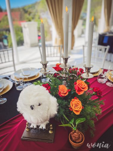 Wesele w stylu Harrego Pottera