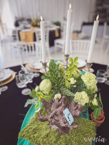 Wesele w stylu Harrego Pottera