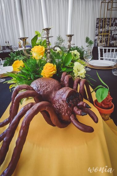 Wesele w stylu Harrego Pottera