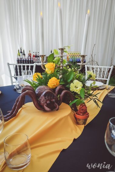 Wesele w stylu Harrego Pottera