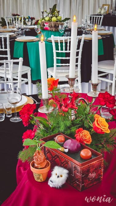 Wesele w stylu Harrego Pottera