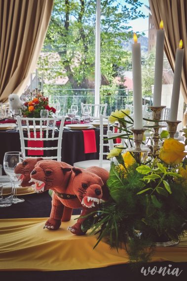 Wesele w stylu Harrego Pottera