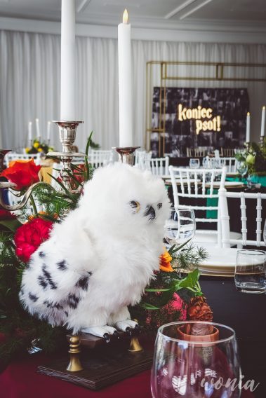 Wesele w stylu Harrego Pottera