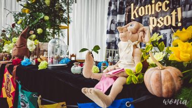 Wesele w stylu Harrego Pottera